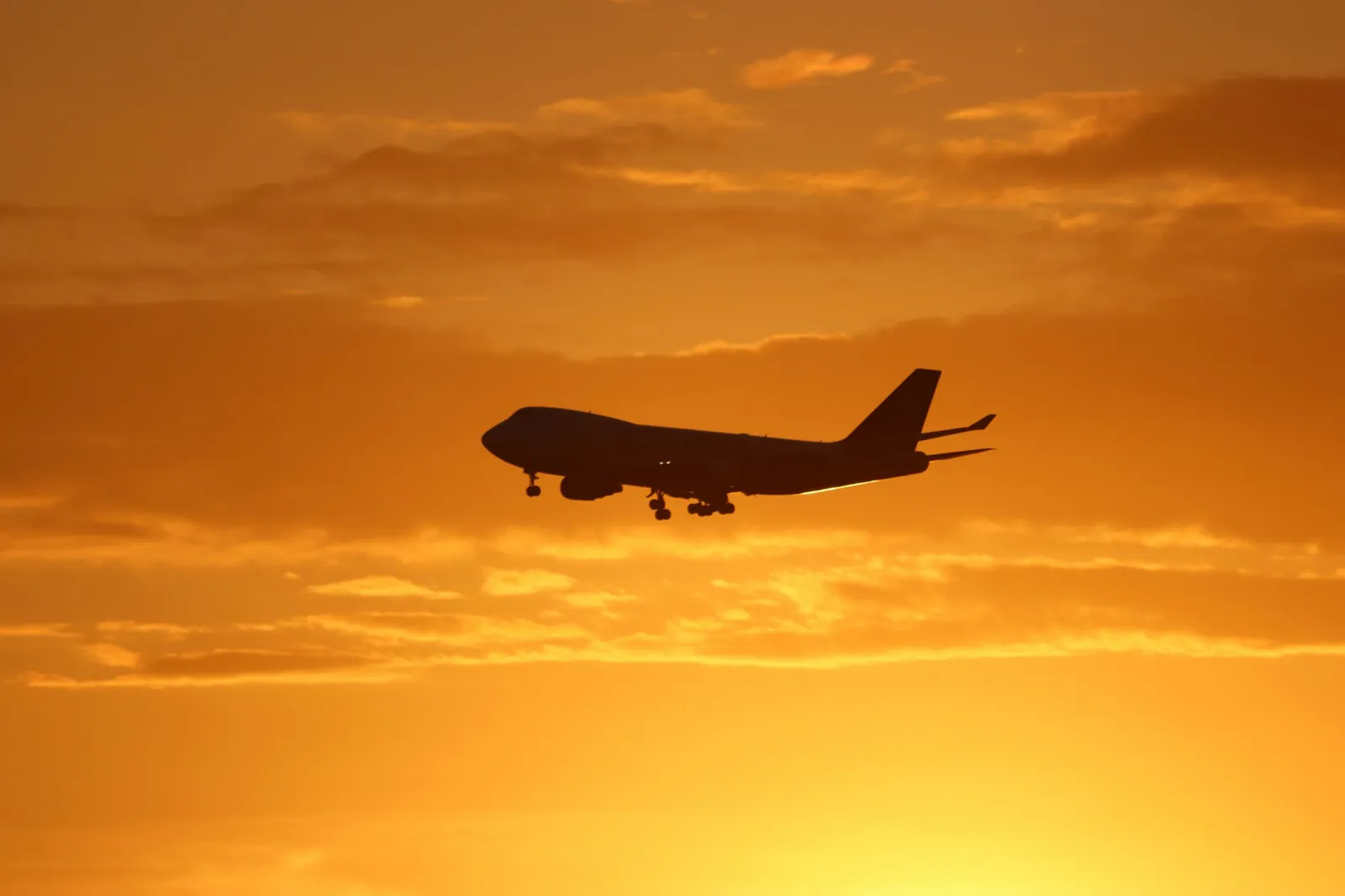 Standard Overnight Air Freight